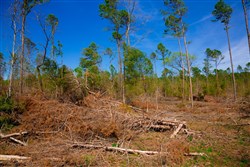 property photo for Stone Creek Phase II Tract 251, 16.8 acres for sale in Latimer County, Oklahoma