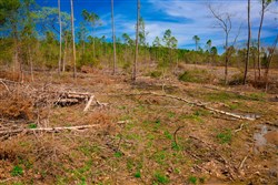 property photo for Stone Creek Phase II Tract 251, 16.8 acres for sale in Latimer County, Oklahoma