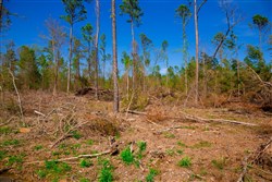 property photo for Stone Creek Phase II Tract 251, 16.8 acres for sale in Latimer County, Oklahoma