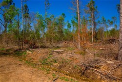 property photo for Stone Creek Phase II Tract 251, 16.8 acres for sale in Latimer County, Oklahoma