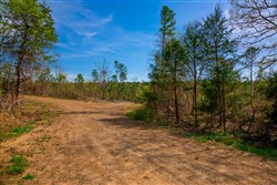 property photo for Stone Creek Phase II Tract 251, 16.8 acres for sale in Latimer County, Oklahoma