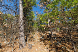property photo for Stone Bridge Phase II Tract 123, 23.24 acres for sale in LatimerHaskell County, Oklahoma