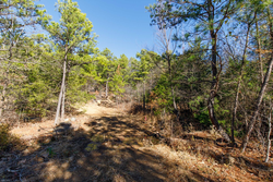property photo for Stone Bridge Phase II Tract 123, 23.24 acres for sale in LatimerHaskell County, Oklahoma