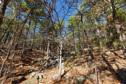 property photo for Stone Bridge Phase II Tract 123, 23.24 acres for sale in LatimerHaskell County, Oklahoma