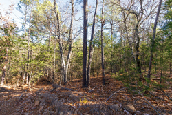 property photo for Stone Bridge Phase II Tract 123, 23.24 acres for sale in LatimerHaskell County, Oklahoma