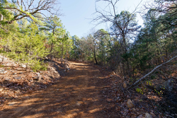 property photo for Stone Bridge Phase II Tract 123, 23.24 acres for sale in LatimerHaskell County, Oklahoma