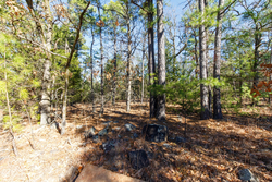 property photo for Stone Bridge Phase II Tract 123, 23.24 acres for sale in LatimerHaskell County, Oklahoma