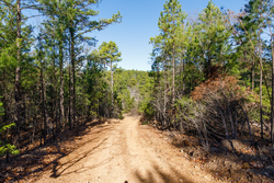 property photo for Stone Bridge Phase II Tract 123, 23.24 acres for sale in LatimerHaskell County, Oklahoma