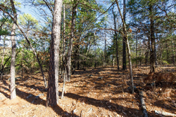 property photo for Stone Bridge Phase II Tract 123, 23.24 acres for sale in LatimerHaskell County, Oklahoma