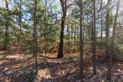 property photo for Stone Bridge Phase II Tract 124, 36.9 acres for sale in LatimerHaskell County, Oklahoma
