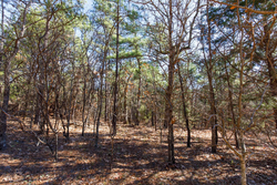 property photo for Stone Bridge Phase II Tract 124, 36.9 acres for sale in LatimerHaskell County, Oklahoma