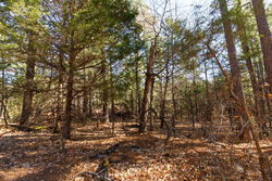 property photo for Stone Bridge Phase II Tract 124, 36.9 acres for sale in LatimerHaskell County, Oklahoma