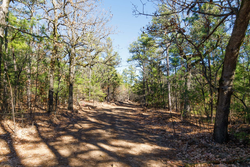 property photo for Stone Bridge Phase II Tract 124, 36.9 acres for sale in LatimerHaskell County, Oklahoma