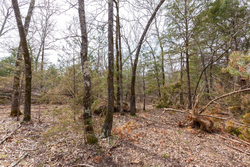 property photo for Stone Bridge Phase III Tract 150, 5.07 acres for sale in LatimerHaskell County, Oklahoma