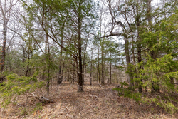 property photo for Stone Bridge Phase III Tract 150, 5.07 acres for sale in LatimerHaskell County, Oklahoma
