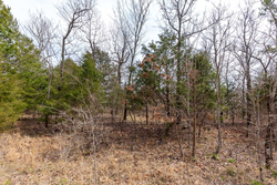 property photo for Stone Bridge Phase III Tract 150, 5.07 acres for sale in LatimerHaskell County, Oklahoma