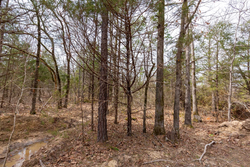 property photo for Stone Bridge Phase III Tract 150, 5.07 acres for sale in LatimerHaskell County, Oklahoma