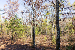 property photo for Stone Bridge Reserve Tract 30, 7.13 acres for sale in LatimerHaskell County, Oklahoma