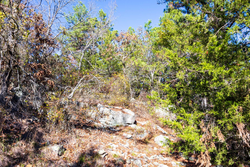 property photo for Stone Bridge Reserve Tract 30, 7.13 acres for sale in LatimerHaskell County, Oklahoma
