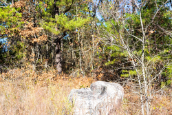 property photo for Stone Bridge Reserve Tract 30, 7.13 acres for sale in LatimerHaskell County, Oklahoma