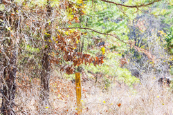 property photo for Stone Bridge Reserve Tract 30, 7.13 acres for sale in LatimerHaskell County, Oklahoma