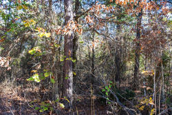 property photo for Stone Bridge Reserve Tract 30, 7.13 acres for sale in LatimerHaskell County, Oklahoma