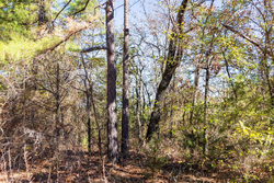property photo for Stone Bridge Reserve Tract 30, 7.13 acres for sale in LatimerHaskell County, Oklahoma