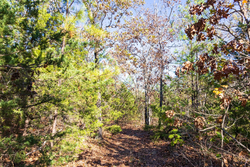 property photo for Stone Bridge Reserve Tract 30, 7.13 acres for sale in LatimerHaskell County, Oklahoma
