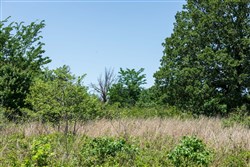 property photo for Starfield Acres Tract 1, 5.38 acres for sale in Lincoln County, Oklahoma