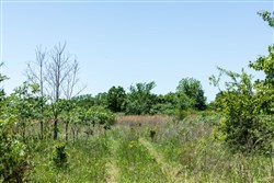 property photo for Starfield Acres Tract 10, 6.1 acres for sale in Lincoln County, Oklahoma