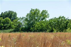 property photo for Starfield Acres Tract 10, 6.1 acres for sale in Lincoln County, Oklahoma