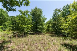 property photo for Starfield Acres Tract 10, 6.1 acres for sale in Lincoln County, Oklahoma