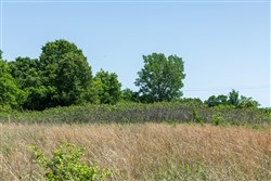 property photo for Starfield Acres Tract 10, 6.1 acres for sale in Lincoln County, Oklahoma