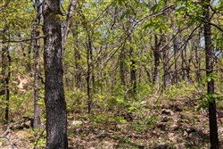 property photo for Allies Acres Tract 3, 5.02 acres for sale in Pittsburg County, Oklahoma
