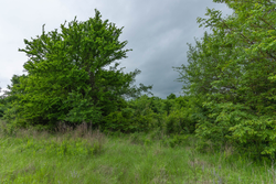 property photo for Harmony Hills Tract 1, 5.17 acres for sale in Pittsburg County, Oklahoma