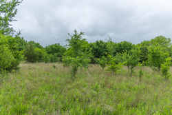 property photo for Harmony Hills Tract 1, 5.17 acres for sale in Pittsburg County, Oklahoma