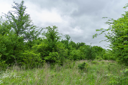 property photo for Harmony Hills Tract 1, 5.17 acres for sale in Pittsburg County, Oklahoma
