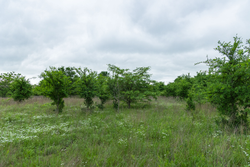 property photo for Harmony Hills Tract 1, 5.17 acres for sale in Pittsburg County, Oklahoma