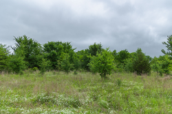 property photo for Harmony Hills Tract 1, 5.17 acres for sale in Pittsburg County, Oklahoma