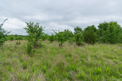 property photo for Harmony Hills Tract 1, 5.17 acres for sale in Pittsburg County, Oklahoma