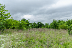 property photo for Harmony Hills Tract 1, 5.17 acres for sale in Pittsburg County, Oklahoma