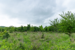 property photo for Harmony Hills Tract 1, 5.17 acres for sale in Pittsburg County, Oklahoma