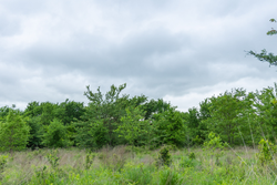 property photo for Harmony Hills Tract 1, 5.17 acres for sale in Pittsburg County, Oklahoma