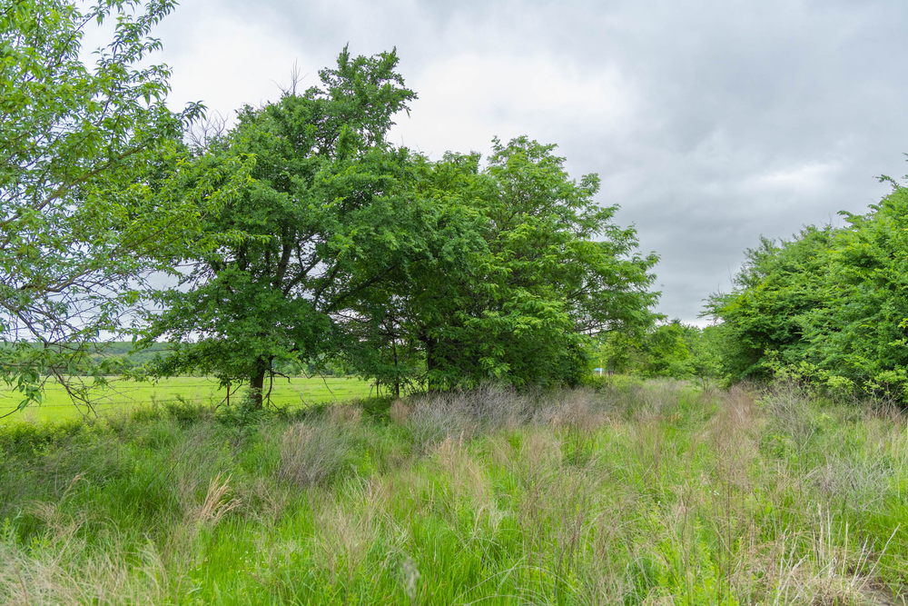 5.17 acre rural land tract for sale at Harmony Hills Tract 1 in Pittsburg County, Oklahoma