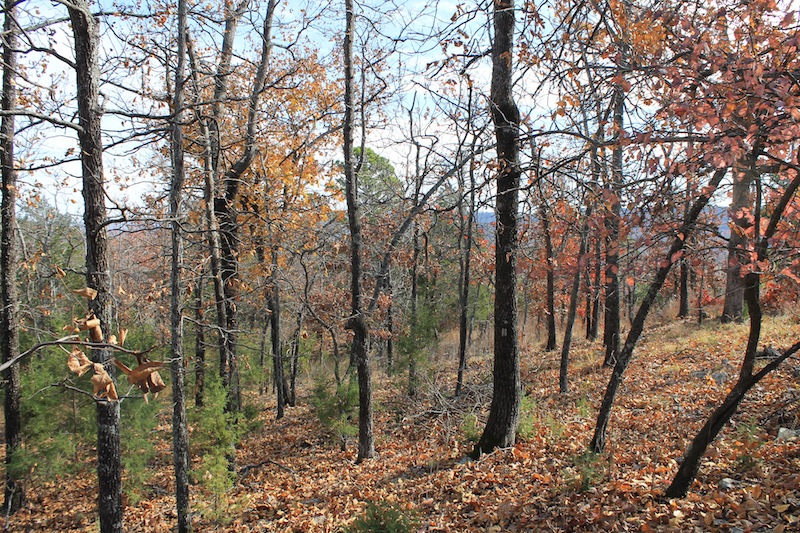 Tract 11 at Indian Ridge Phase I in Pittsburg County, Oklahoma