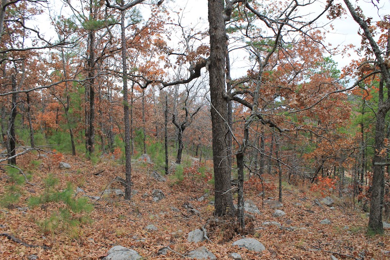 Tract 14 at Indian Ridge Phase I in Pittsburg County, Oklahoma