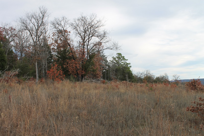 Tract 21 at Indian Ridge Phase I in Pittsburg County, Oklahoma