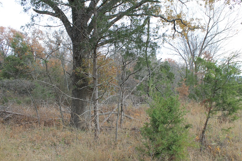 Tract 23 at Indian Ridge Phase I in Pittsburg County, Oklahoma