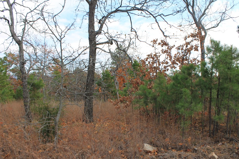 Tract 3 at Indian Ridge Phase I in Pittsburg County, Oklahoma