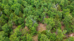 property photo for Falcon Crest Tract 21, 5.45 acres for sale in Pushmataha County, Oklahoma